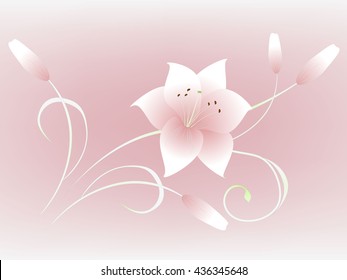 Beautiful floral background with flower lily.