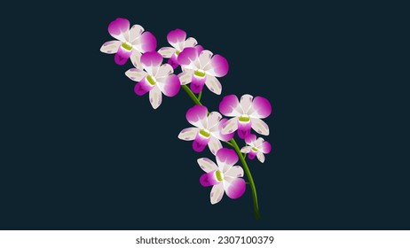 Beautiful floral background. Realistic Pink orchids on a light background. Pastel colors. Selective focus. Close up. Orchid flower in winter or spring day tropical garden Floral background
