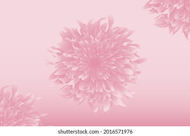 Beautiful floral background with soft floral ornament