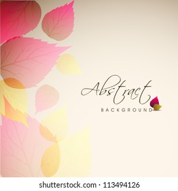 Beautiful floral background with space for your message. EPS 10.