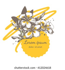 Beautiful floral background. Template with hand drawn exotic tropical flowers. Frangipani (Plumeria) sketch. Vector card design with exotic plants.