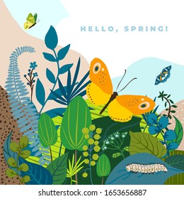 Beautiful floral background, text Hello Spring. Green leaves, colorful flowers, caterpillar and butterflies. Bright cute summer card for invitation, wedding, birthday, holiday. Vector illustration.