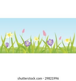 Beautiful floral background in vector