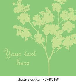 Beautiful floral background, write your text here