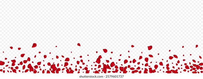Beautiful Floral Beauty Vector Panoramic Transparent Background. Summer Cherry Texture. Delicate Lotus Falling Backdrop. Pink Peach Fly Design.