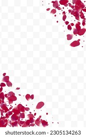 Beautiful Floral Beauty Vector Transparent Background. Falling Lotus Template. Pink Rose Fall Texture. Purple Flower Spring Banner.