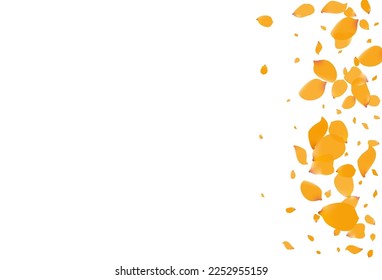 Beautiful Floral Beauty Vector White Background. Blur Blossom Illustration. Yellow Petal Fall Design. Delicate Narcissus Falling Texture.