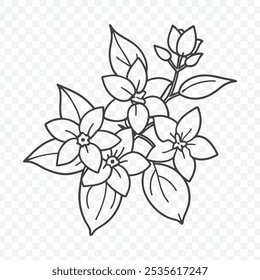 Beautiful Floral Bunch with Jasmine Line Art Vector Illustration in Delicate and Elegant Style