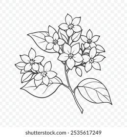 Beautiful Floral Bunch with Jasmine Line Art Vector Illustration in Delicate and Elegant Style