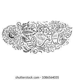 Beautiful floral decorative element. Vector illustration