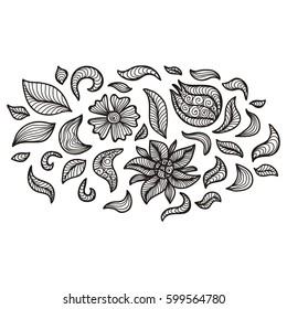 Beautiful floral decorative element. Vector illustration.