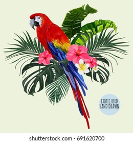 Beautiful floral exotic vector illustration with parrot, tropical leaves, hibiscus. Isolated on white background