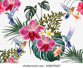 Hermoso vectorial exótico floral de fondo transparente con colibríes, hojas tropicales, hibiscos, flores tropicales, mariposas. Aislado sobre fondo blanco