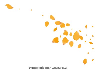 Beautiful Floral Fall Vector White Background. Beauty Peach Template. Yellow Narcissus Dutch Wallpaper. Delicate Rose Flying Pattern.