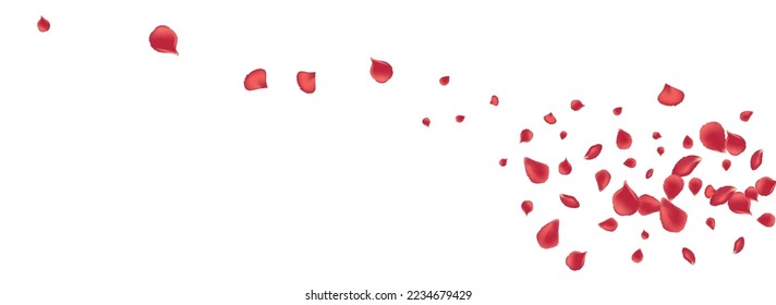 Beautiful Floral Falling Vector Panoramic White Background. Summer Petal Design. Red Sakura Fly Backdrop. Pink Cherry Flying Illustration.
