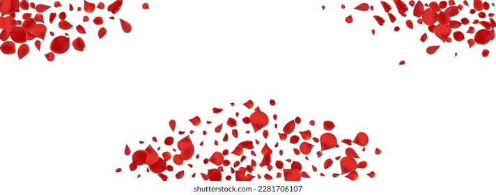 Beautiful Floral Falling Vector Panoramic White Background. Fall Petal Design. Pink Flower Japanese Texture. Delicate Blossom Flying Poster.