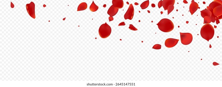 Beautiful Floral Fly Vector Panoramic Transparent Background. Blur Petal Template. Pink Sakura Summer Texture. Delicate Lotus Falling Illustration.