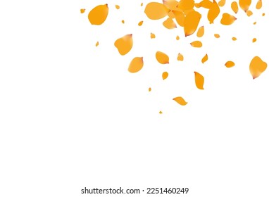 Beautiful Floral Flying Vector White Background. Summer Flower Template. Yellow Petal Fly Banner. Delicate Rose Falling Pattern.