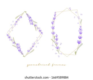 Beautiful Floral Frame With Lavender Flower Watercolor