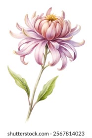 Beautiful floral illustration, soft pastel colors, delicate petals, botanical art, nature-inspired design, elegant composition.