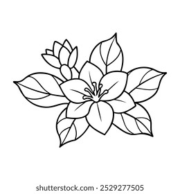 Beautiful Floral Line Art Illustration for Coloring	