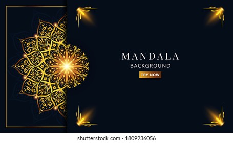 beautiful floral and mandala ornament vector background