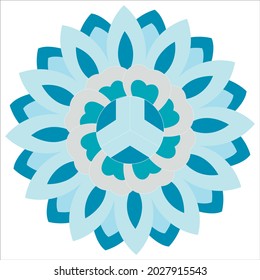beautiful floral ornament pattern illustration vector