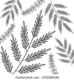 Beautiful Floral Pattern Background Vector is perfect for many different types of designs. You can use it to craft backgrounds for graphic designs, product packaging, website designs and many more.