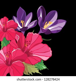 Beautiful floral pattern with hibiscus and crocus, hand-drawing.