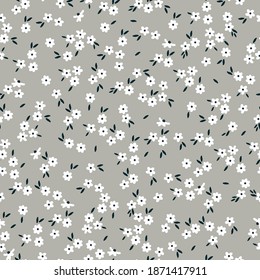 Beautiful floral pattern of small flowers. Small white flowers. Gray background. Printing color in a flower. Floral seamless background. Elegant template for fashionable prints.