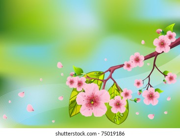 Beautiful floral pattern spring background