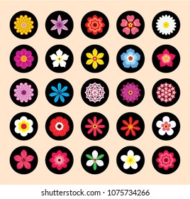 beautiful floral pattern. spring flower vector collection.