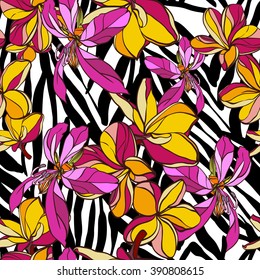 Beautiful floral patterns. Vector tropical frangipani on a black stripes zebra background. Hand drawn vector flowers.