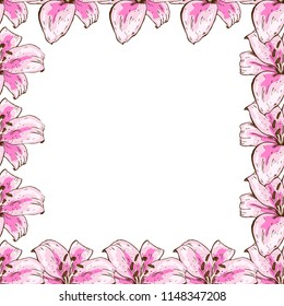 A beautiful floral seamless frame of pink lilies. Flower design for cards, banners, posters and so on. Botanical vector illustration