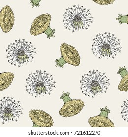 Beautiful floral seamless pattern with dandelion yellow flower heads and blowballs hand drawn in antique style. Botanical vector illustration for fabric print, wallpaper, wrapping paper, backdrop.