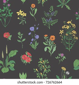 Beautiful floral seamless pattern with meadow herbs on black background. Gorgeous wild flowers and blooming herbaceous plants. Colorful vector illustration for textile print, wallpaper, backdrop.