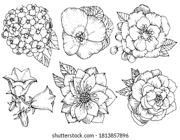 Beautiful floral set, various flowers. Hand drawn Flowers vector illustration. Black and white