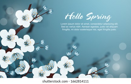 Beautiful floral spring abstract background of nature. Branches of blossoming apricot macro with soft focus on gentle light blue sky background. For easter and spring greeting cards with copy space