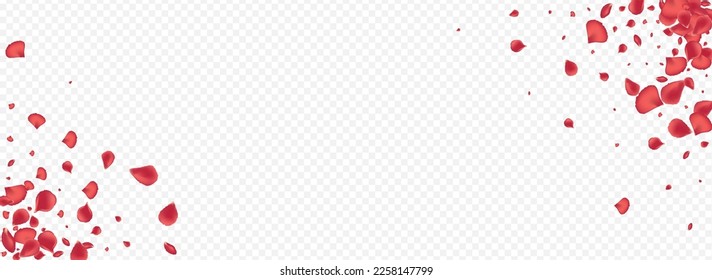 Beautiful Floral Spring Vector Panoramic Transparent Background. Tender Sakura Wallpaper. Red Petal Fly Illustration. Pink Blossom Blur Backdrop.