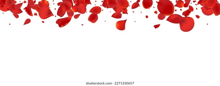 Beautiful Floral Spring Vector Panoramic White Background. Flying Peach Design. Red Cherry Falling Illustration. Delicate Blossom Beauty Texture.