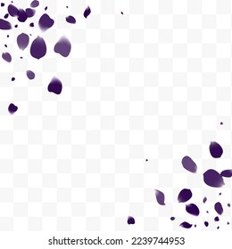 Beautiful Floral Spring Vector White Transparent Background. Fly Petal Design. Purple Geranium Falling Backdrop. Delicate Flower Dutch Banner.
