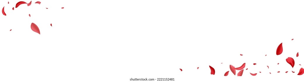 Beautiful Floral Tender Vector White Panoramic Background. Spring Blossom Design. Red Rose Falling Frame. Pink Peach Fall Template.