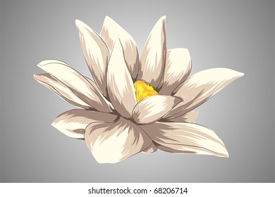 fondo vectorial floral hermoso (flor clara en gris)