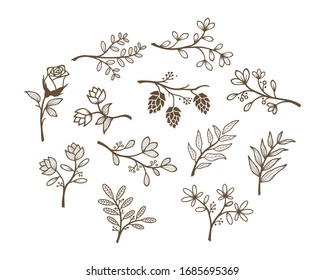 beautiful floral vector design set