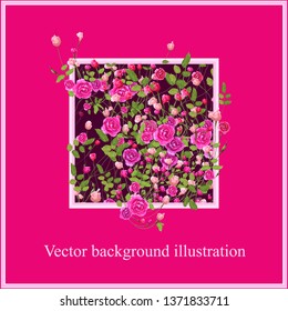 Beautiful floral vector Frame. Pink rose flowers with leaves. Background illustration. Template for card, invitation, banner, cover.