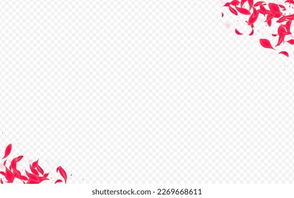 Beautiful Floral Vector Transparent Background. Blur Rose Wallpaper. Red Cherry Falling Frame. Pink Japanese Sakura Texture.
