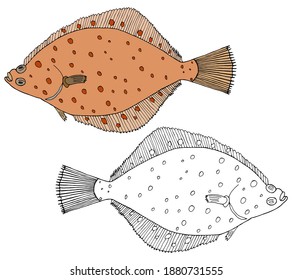 Hermoso pez fundido aislado, dibujo a mano. Conjunto de peces de color y blancos y negros. Ilustración vectorial.