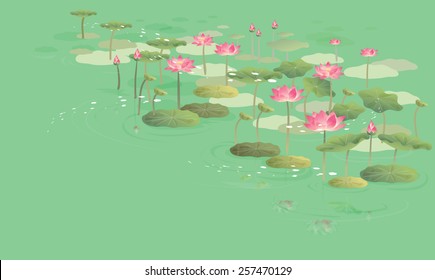 Beautiful flower