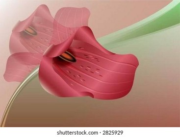 beautiful flower