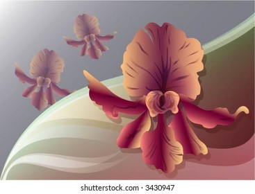 beautiful flower